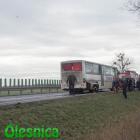 zdjęcie nr 10