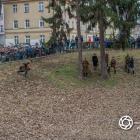 zdjęcie nr 50