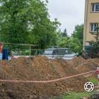 Fotka nr 3 z 16