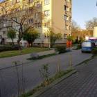 Fotka nr 3 z 8