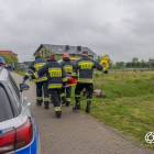 Fotka nr 5 z 10