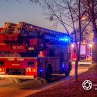 Fotka nr 4 z 11