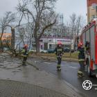 zdjęcie nr 17