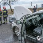 Fotka nr 4 z 21