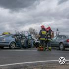 zdjęcie nr 17