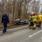 Fotka nr 2 z 11