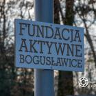 zdjęcie nr 17