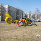 Fotka nr 1 z 10