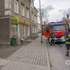 Fotka nr 3 z 4