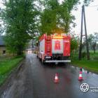 Fotka nr 3 z 13