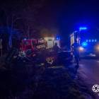 Fotka nr 3 z 14