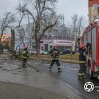 zdjęcie nr 8