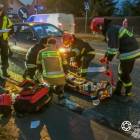 Fotka nr 2 z 11