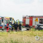 zdjęcie nr 25
