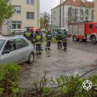 Fotka nr 3 z 11
