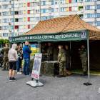 zdjęcie nr 10