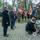 zdjęcie nr 30