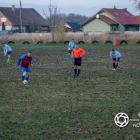zdjęcie nr 46