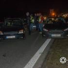 Fotka nr 2 z 10