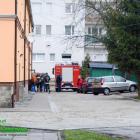 Fotka nr 3 z 12