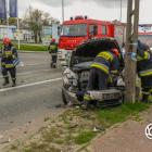 Fotka nr 1 z 18