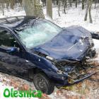 zdjęcie nr 7