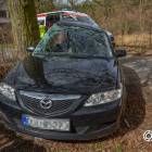 Fotka nr 3 z 12