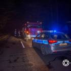 Fotka nr 2 z 15