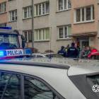 Fotka nr 2 z 8