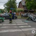 zdjęcie nr 8