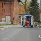 Fotka nr 1 z 6