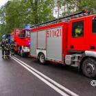 Fotka nr 5 z 6