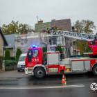 Fotka nr 1 z 11