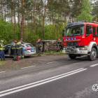 Fotka nr 2 z 11