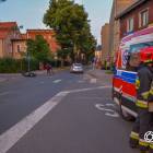 Fotka nr 1 z 11