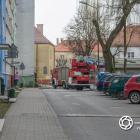 Fotka nr 4 z 9