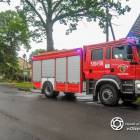 Fotka nr 5 z 9