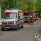 Fotka nr 4 z 12
