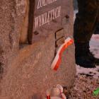 zdjęcie nr 16