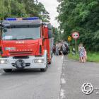Fotka nr 1 z 18