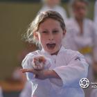 Fotka nr 4 z 172