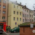 Fotka nr 3 z 12
