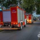 Fotka nr 1 z 13