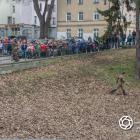 zdjęcie nr 49