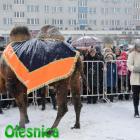 zdjęcie nr 34