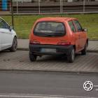 Fotka nr 2 z 5