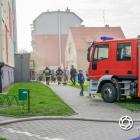 zdjęcie nr 15