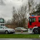 Fotka nr 5 z 9