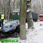 zdjęcie nr 9