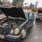 Fotka nr 5 z 6
